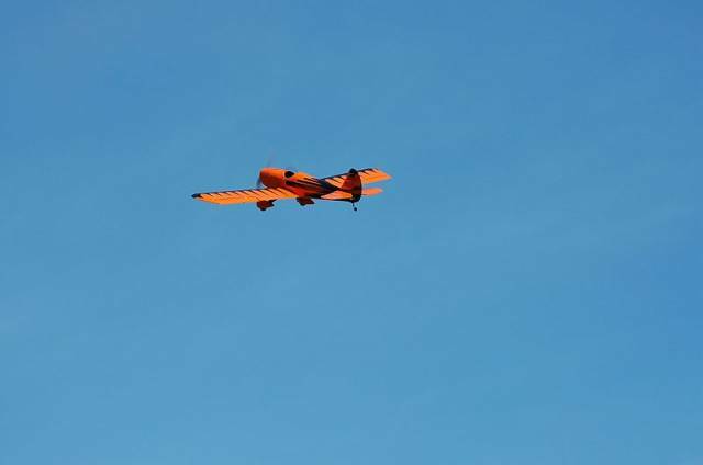 nEO_IMG_DSC_2508.jpg