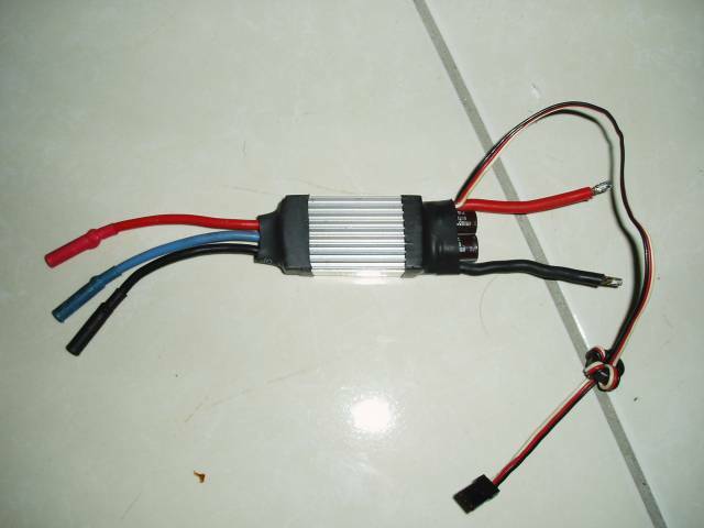 P1010177.JPG