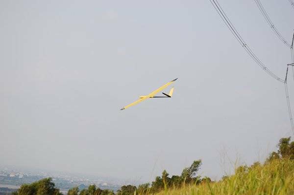 m_DSC_0264[1].jpg