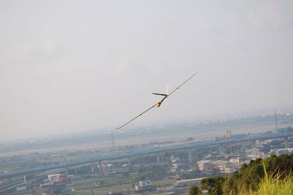 m_DSC_0227.JPG