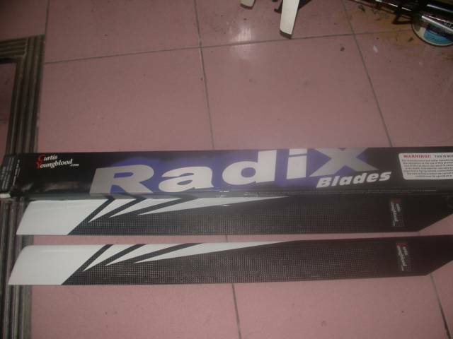 DSCN0290.JPG