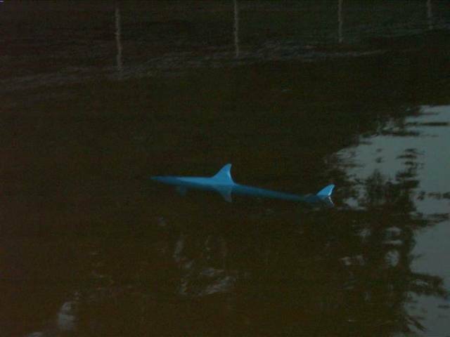 CAM_3792.JPG