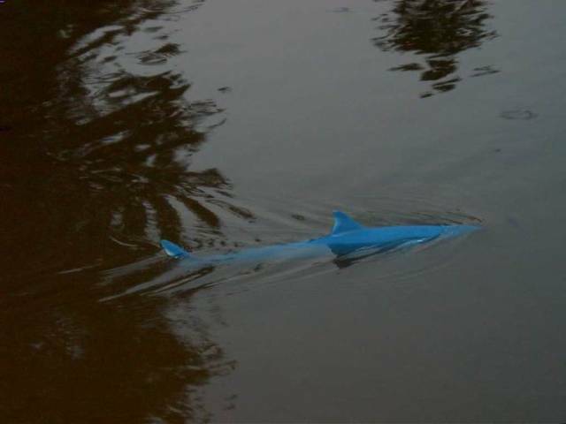 CAM_3789.JPG
