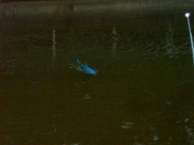 CAM_3788.JPG