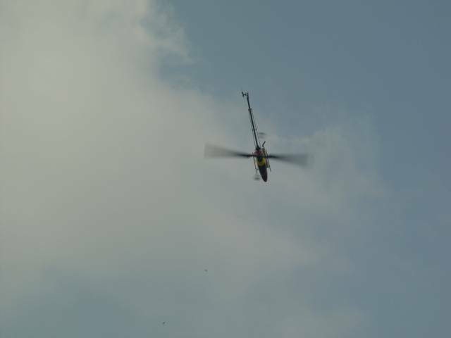 2008.08.02竹東河濱公園 078.jpg