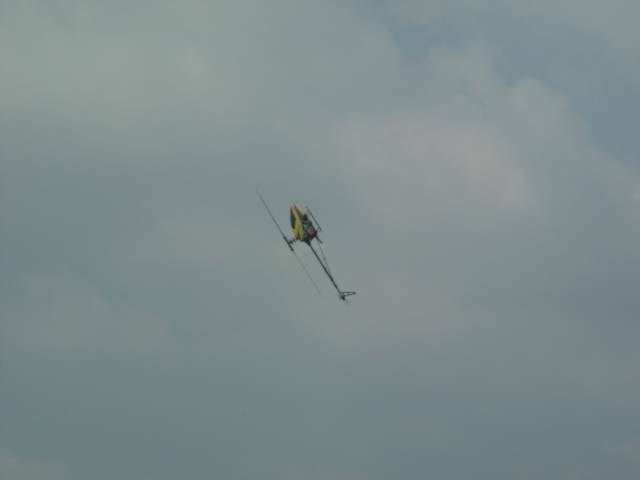 2008.08.02竹東河濱公園 076.jpg