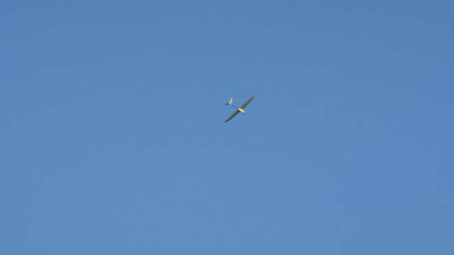 DSC03226.JPG
