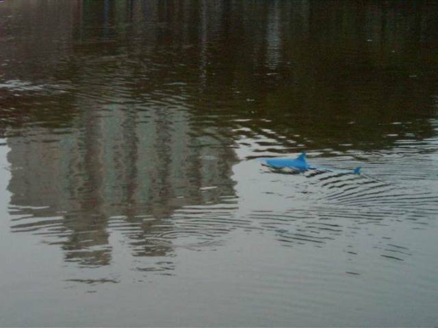 CAM_3790.JPG
