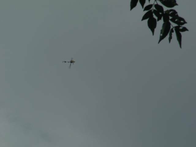 2008.08.02竹東河濱公園 043.jpg