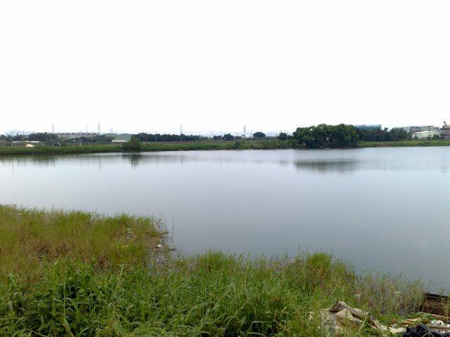 20080803265.jpg