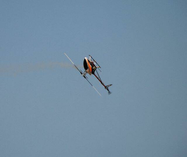 DSC_0805.jpg