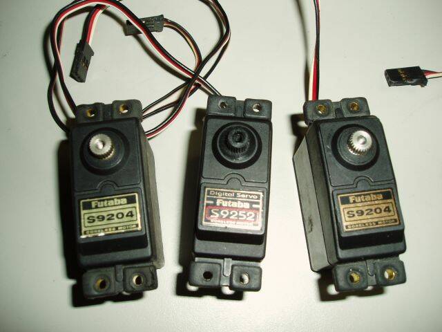 P1010007.JPG