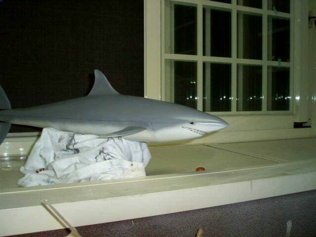 CAM_3800.JPG