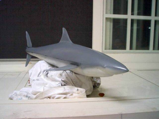 CAM_3799.JPG