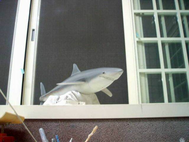 CAM_3802.JPG