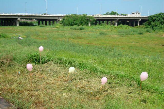049.JPG