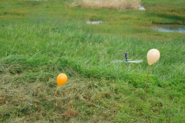 047.JPG