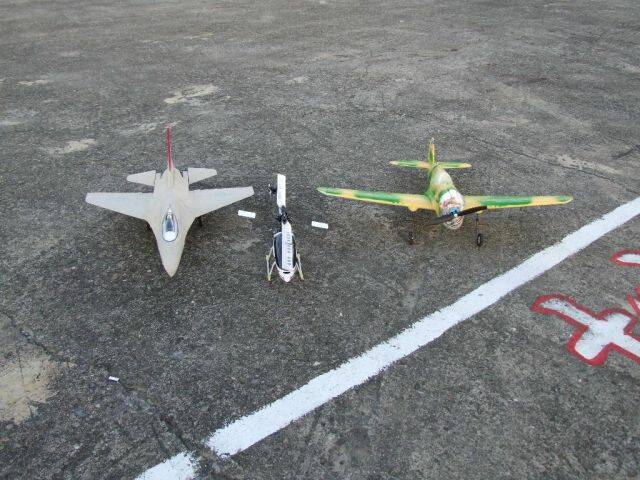 1259.jpg
