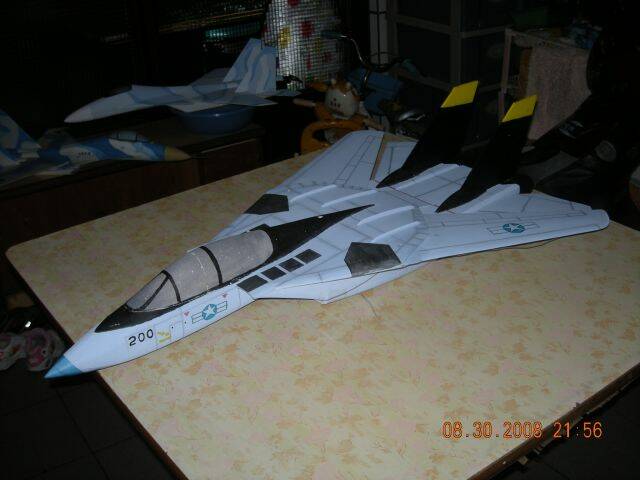 可變翼F14(2)