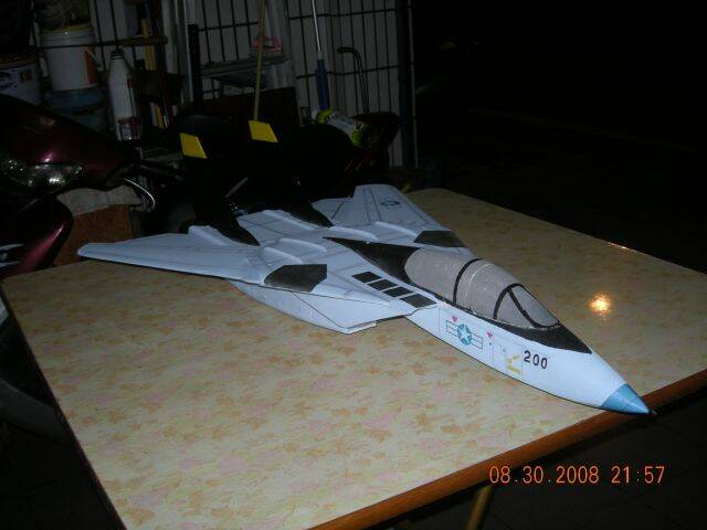 可變翼F14(3)