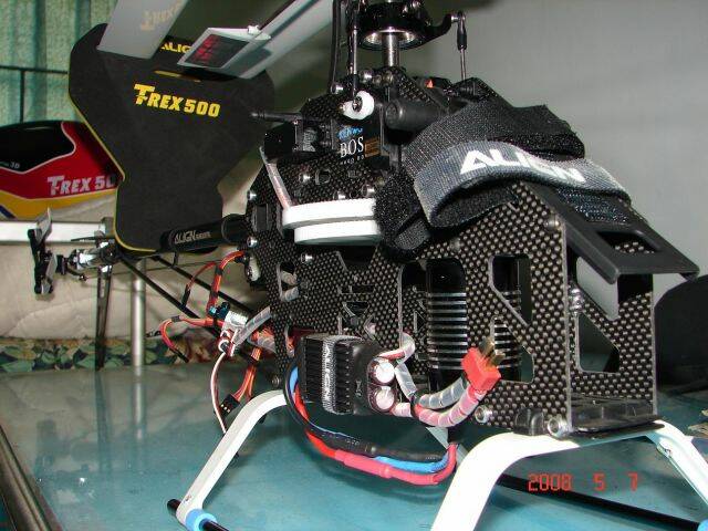 T-REX 500-4.JPG