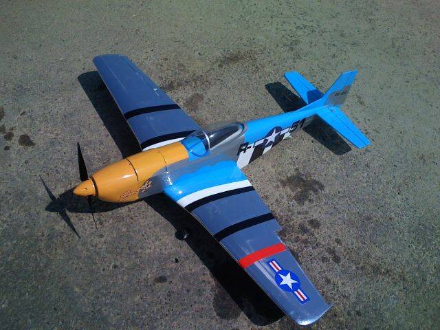 P51-1.jpg