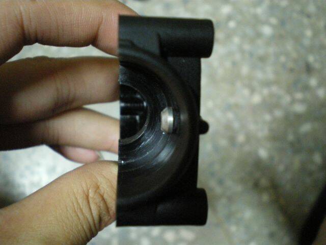 IMGP0892.jpg