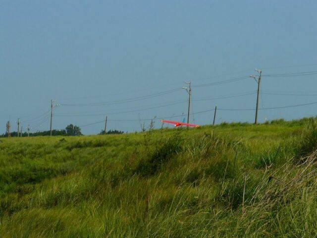 P1040095a.jpg