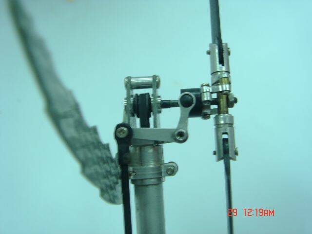 DSC02003.JPG