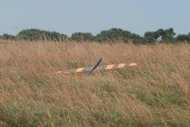 DSC_0881-n.jpg