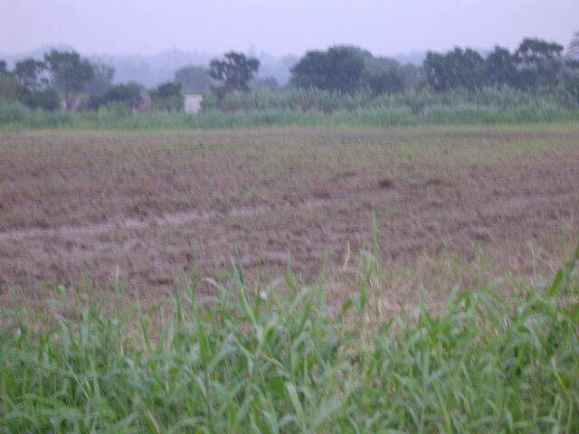 DSC01966.JPG