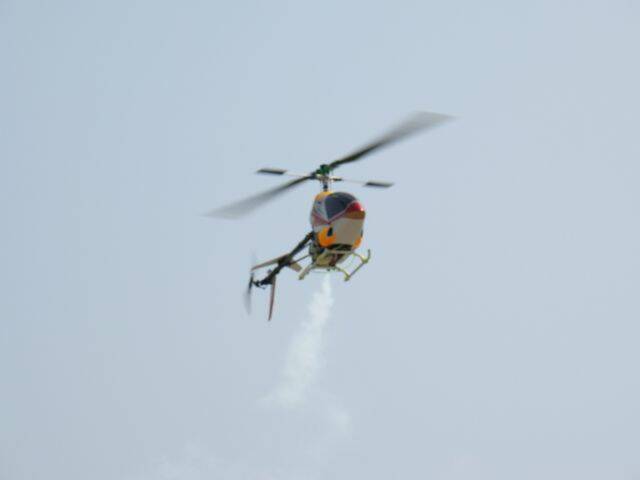 DSC03307.JPG