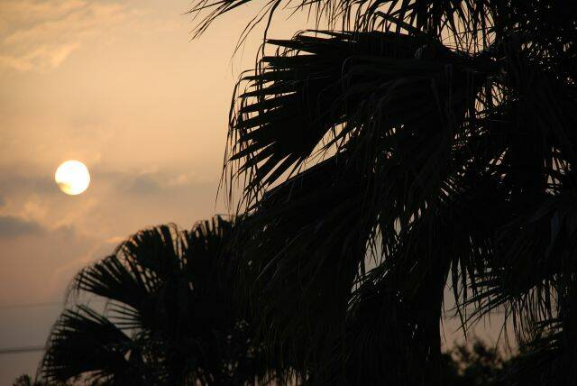 DSC_0092.JPG
