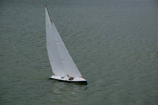 DSC_0713.JPG