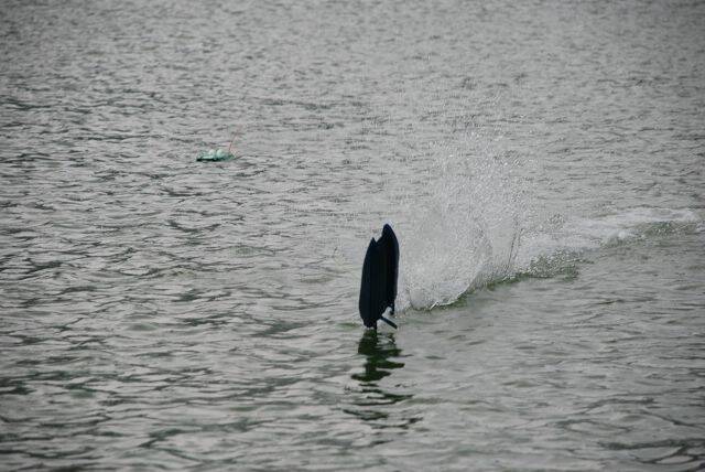 DSC_0418.JPG