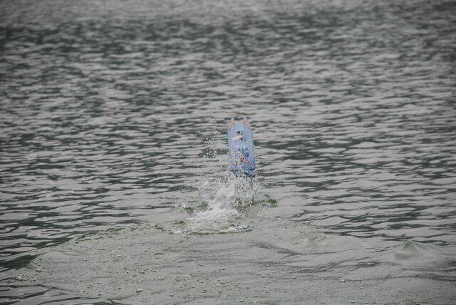 DSC_0542.JPG