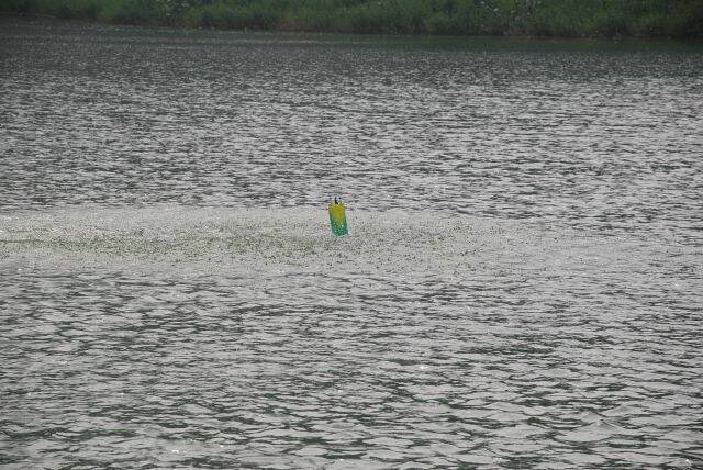 DSC_0276.JPG