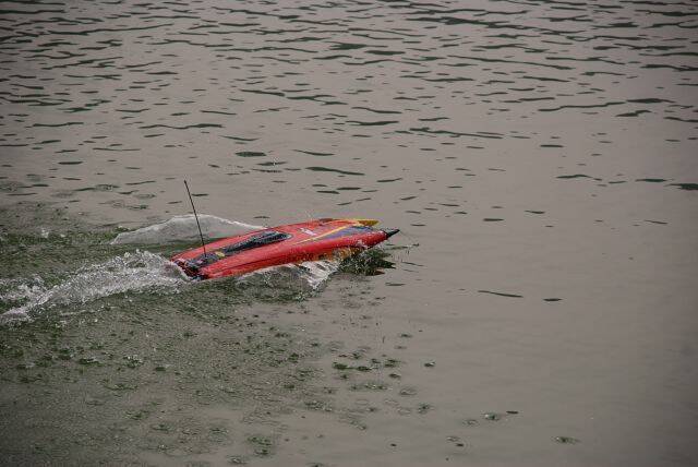 DSC_0806.JPG