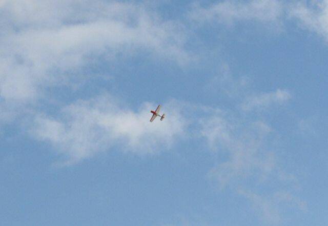 IMG_4101.jpg