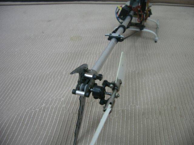 IMGP0179.JPG
