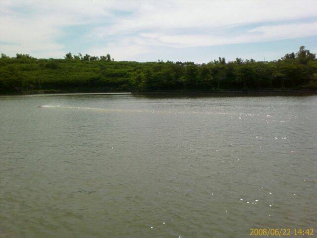 麗湖