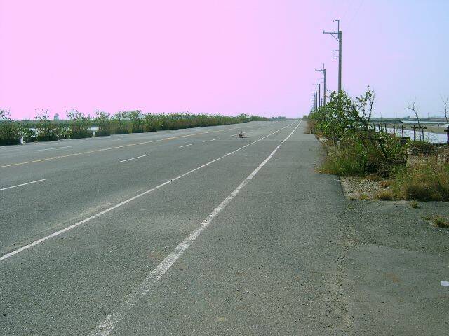 SA500282.JPG