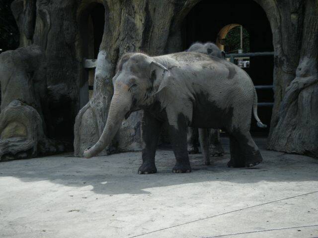 DSCF2888.JPG