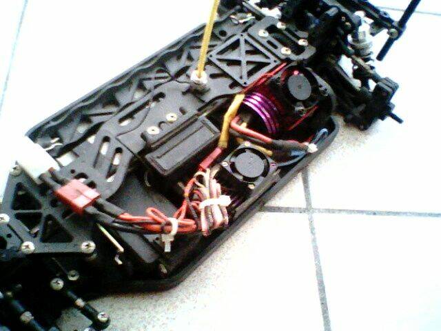 IMG1403A.jpg