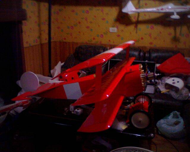 IMG0639A.jpg