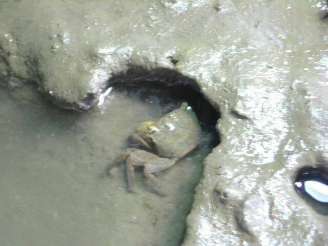 DSCI0133.JPG