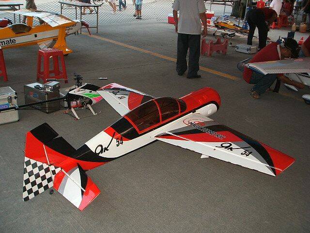 2008台中親子嘉年華 079.jpg