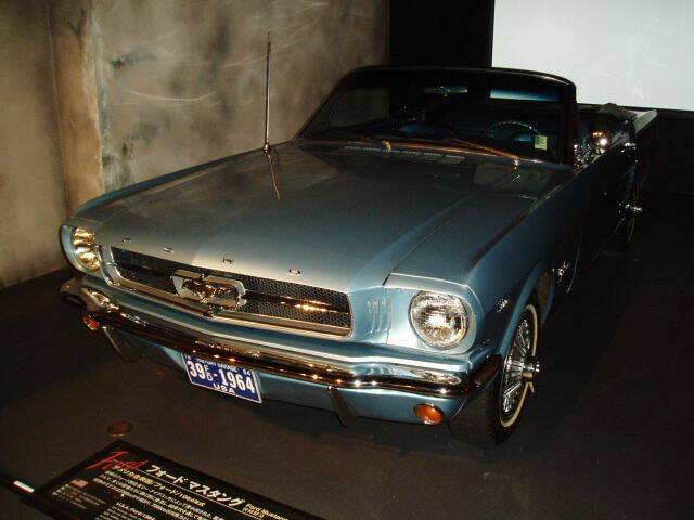 P1010104.JPG