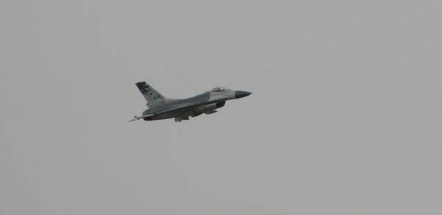 IMG_16137.jpg