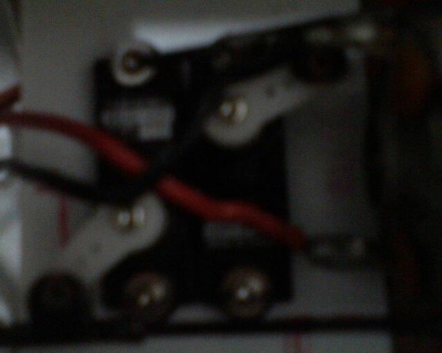 DSC00516.JPG